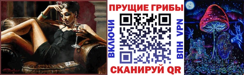 магазин продажи наркотиков  ссылка на мегу рабочий сайт  Галлюциногенные грибы Psilocybe  Правдинск 